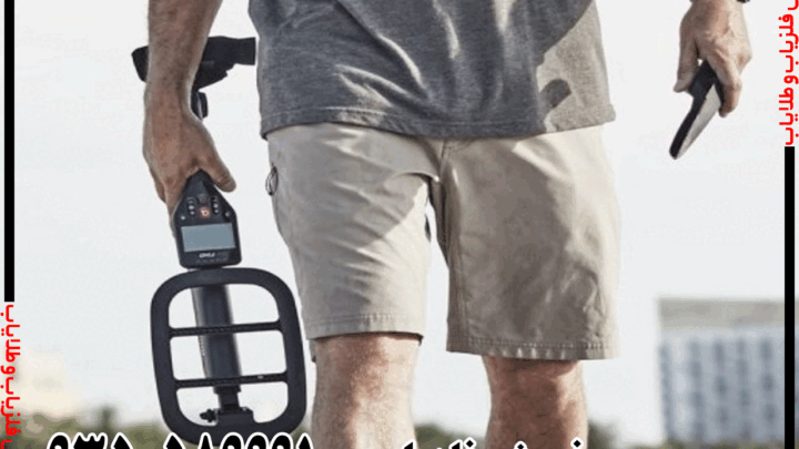 فلزیاب گوفایند 66 Go Find